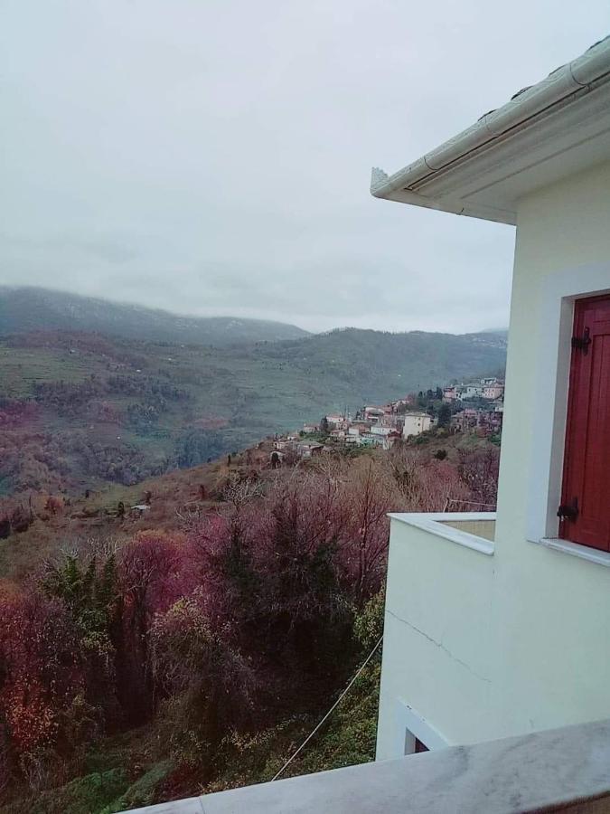 Hotel Evridiki Zagora Zewnętrze zdjęcie